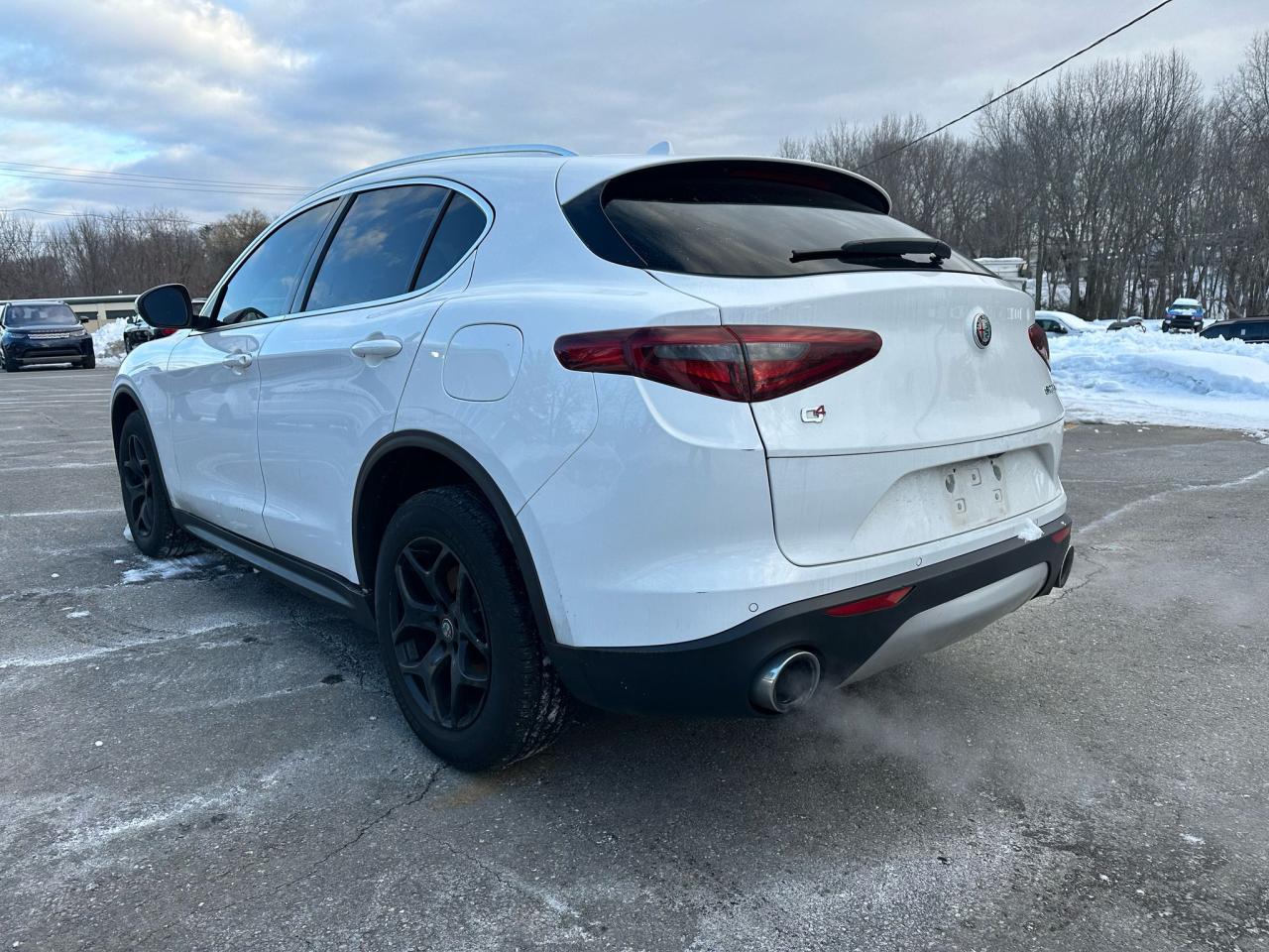 Автомобіль ALFA ROMEO STELVIO 2019 | GrandCar Автомобіль ALFA ROMEO STELVIO 2019 | GrandCar
