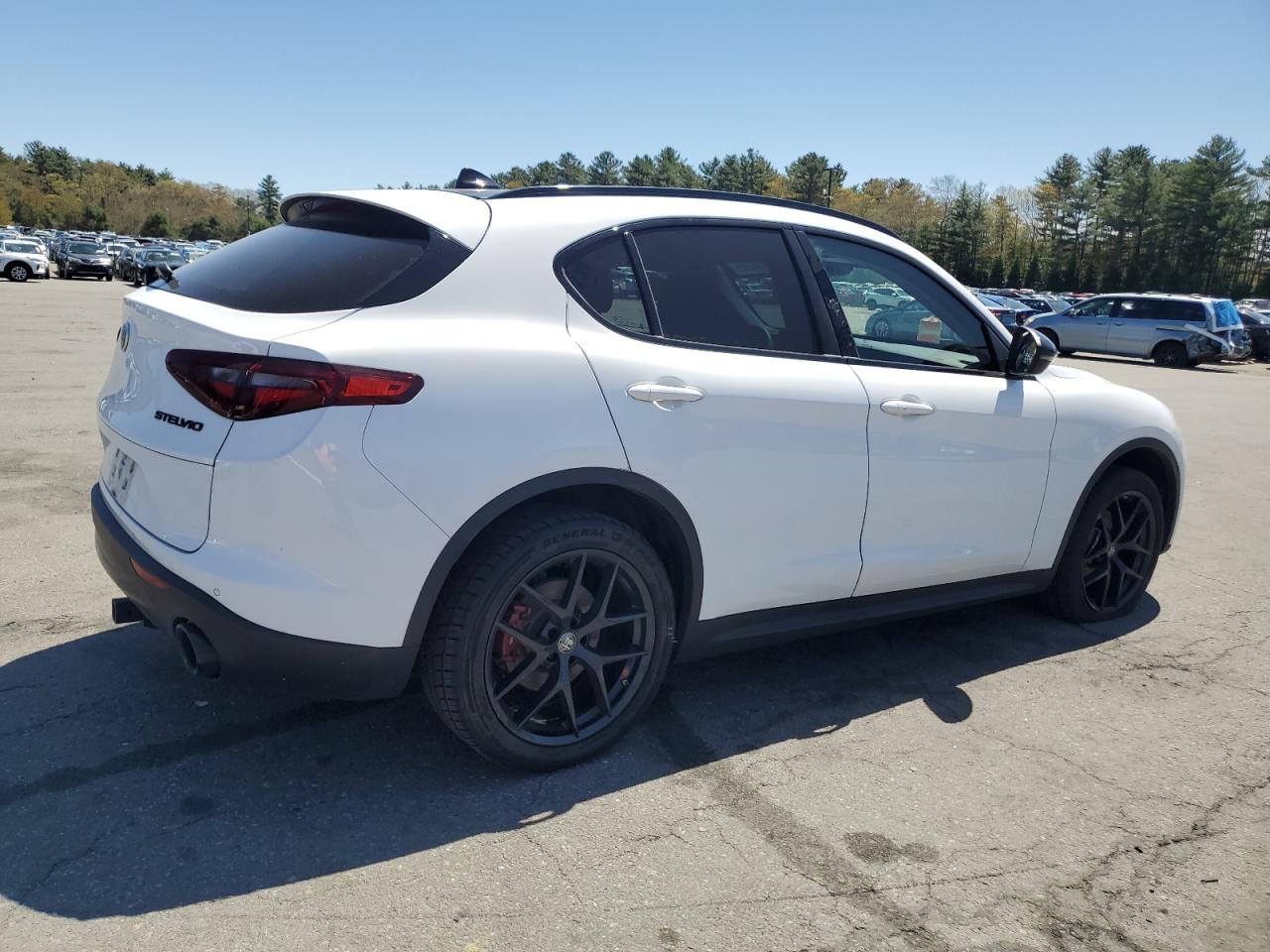 Автомобіль ALFA ROMEO STELVIO 2019 | GrandCar Автомобіль ALFA ROMEO STELVIO 2019 | GrandCar