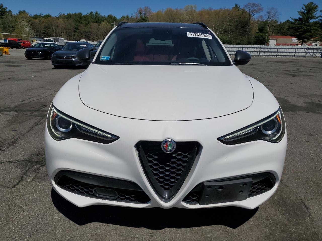 Автомобіль ALFA ROMEO STELVIO 2019 | GrandCar Автомобіль ALFA ROMEO STELVIO 2019 | GrandCar