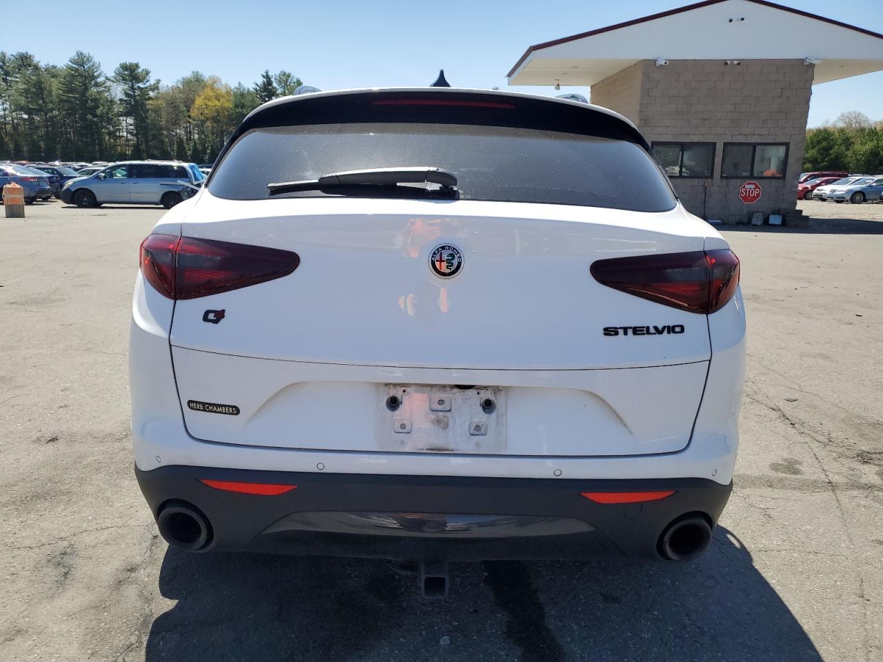 Автомобіль ALFA ROMEO STELVIO 2019 | GrandCar Автомобіль ALFA ROMEO STELVIO 2019 | GrandCar